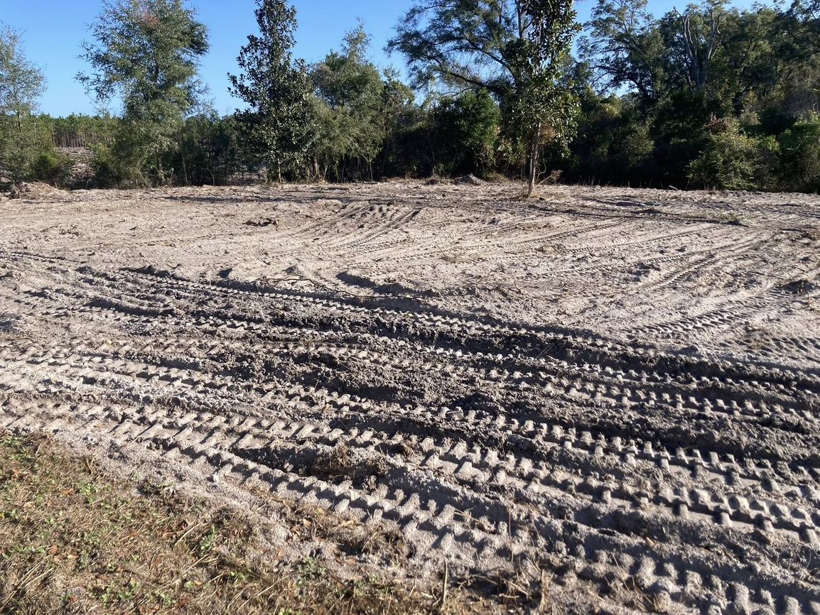 Professional land clearing results